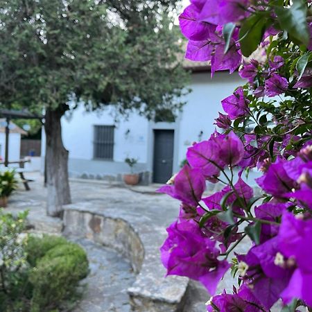 Penzion Complejo Rural Huerta Grande Algeciras Exteriér fotografie