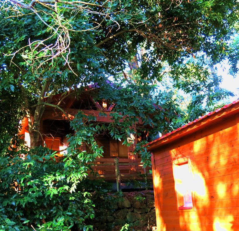 Penzion Complejo Rural Huerta Grande Algeciras Exteriér fotografie