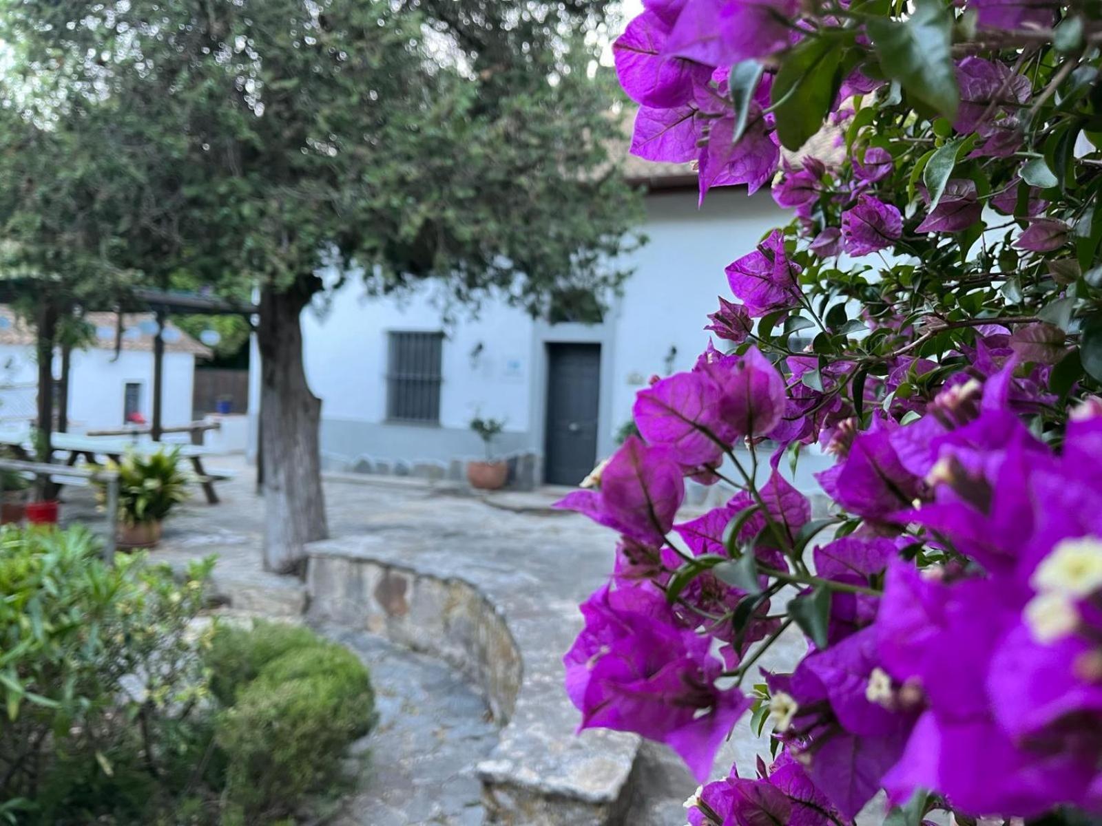 Penzion Complejo Rural Huerta Grande Algeciras Exteriér fotografie