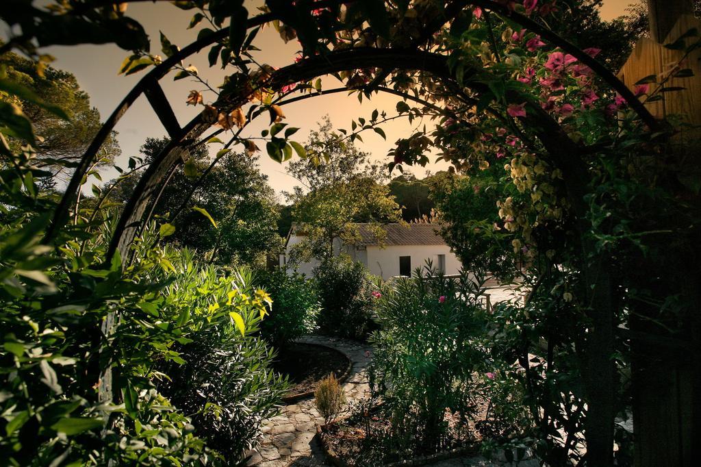 Penzion Complejo Rural Huerta Grande Algeciras Exteriér fotografie